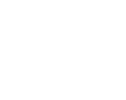 ico video-1